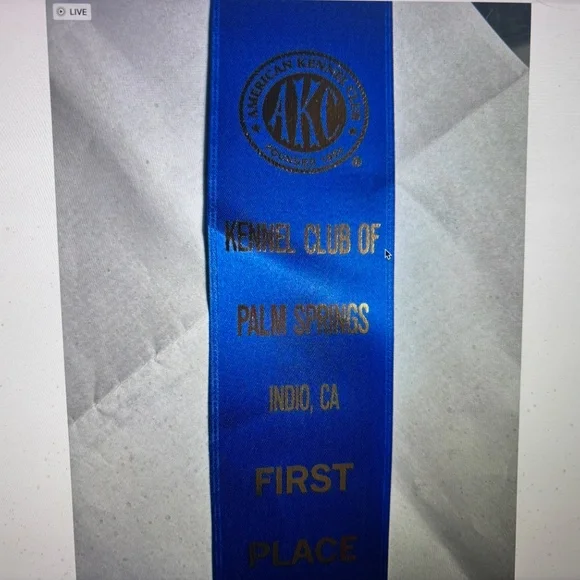 ANUSCHKA INDIA-NWT $218.00 NOW ! $139.00 MASTERPIECE PAINTING TOOK 8 WEEKS - Picture 15 of 16